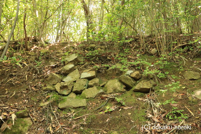 長門 鹿ヶ嶽城の写真