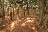 長門 諏訪山城の写真