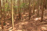 長門 諏訪山城の写真