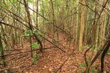 長門 立野城の写真