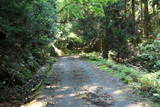 長門 竜山城の写真