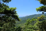 長門 竜山城の写真