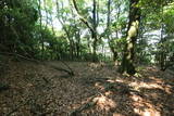 長門 竜山城の写真