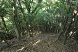 長門 竜山城の写真