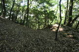 長門 竜山城の写真