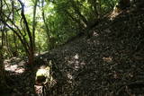 長門 竜山城の写真