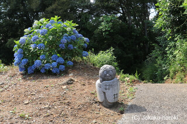 長門 塚之原城の写真