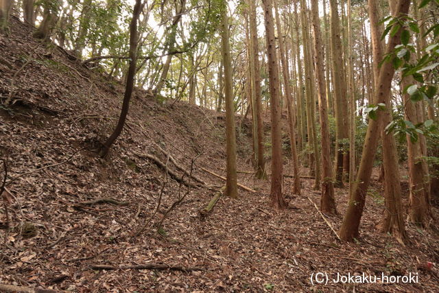 長門 内日茶臼山城の写真