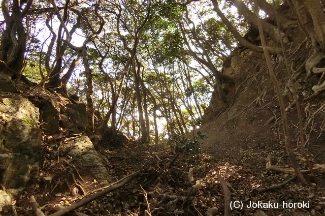 長門 鰐坊山城の写真