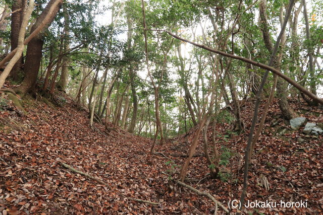 長門 渡川城の写真