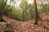 長門 渡川城の写真