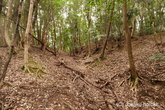 長門 矢田城の写真