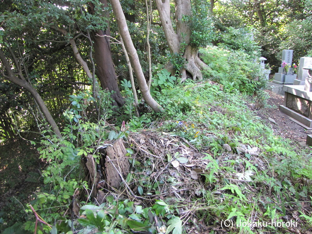 能登 平式部館の写真