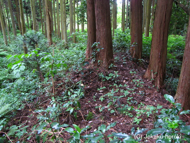 能登 甲山城の写真