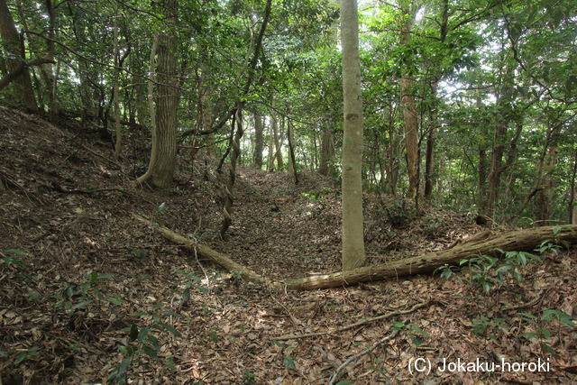 能登 幾保比城の写真