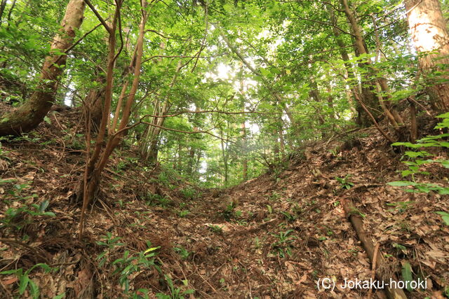 能登 小太郎城の写真