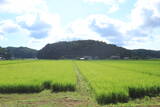能登 小太郎城の写真