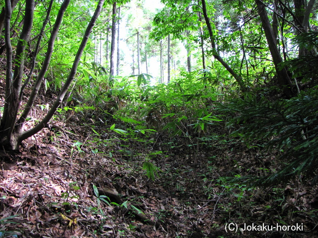 能登 町屋堡の写真