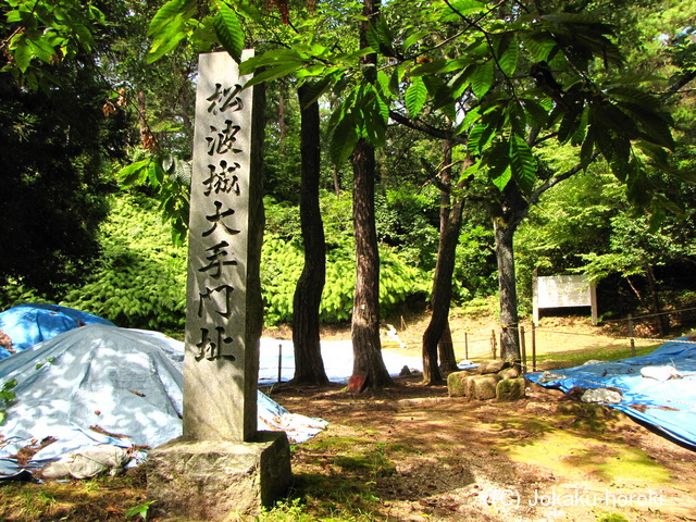 能登 松波城の写真