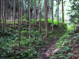 能登 西谷内城の写真