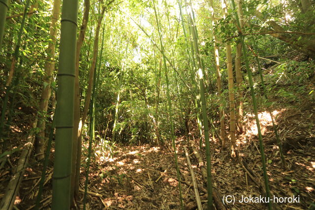 能登 野崎城の写真