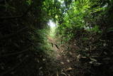 能登 荒山城(中能登町)の写真