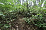 能登 荒山城(中能登町)の写真