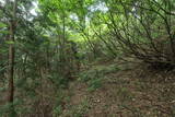 能登 荒山城(中能登町)の写真