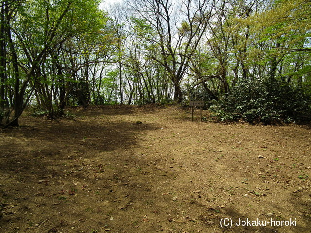 能登 石動山城の写真