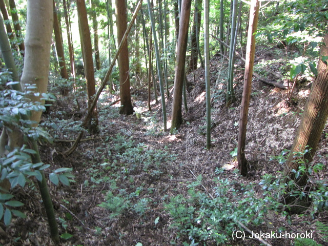 能登 館開城の写真