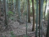能登 館開城の写真