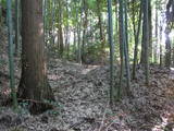 能登 館開城の写真