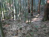 能登 館開城の写真