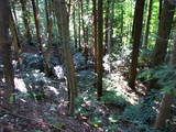 能登 館開城の写真