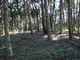 能登 館開城の写真
