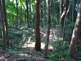 能登 館開城の写真