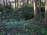 能登 館開城の写真