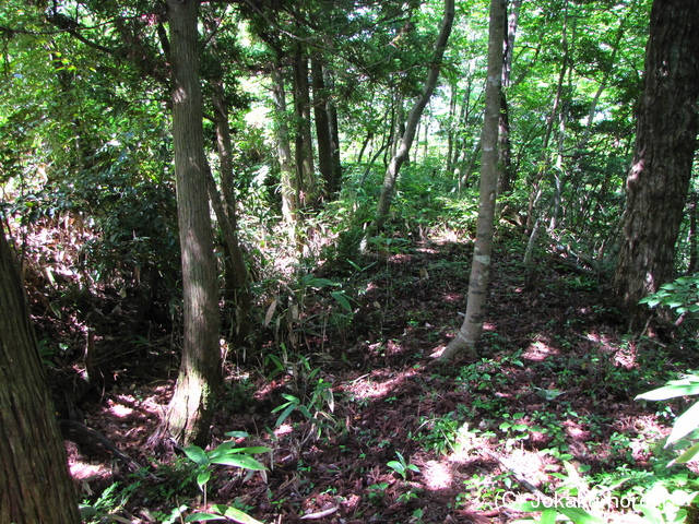 能登 坪井山砦の写真