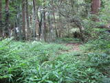 大隅 平山城の写真