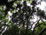 大隅 平山城の写真