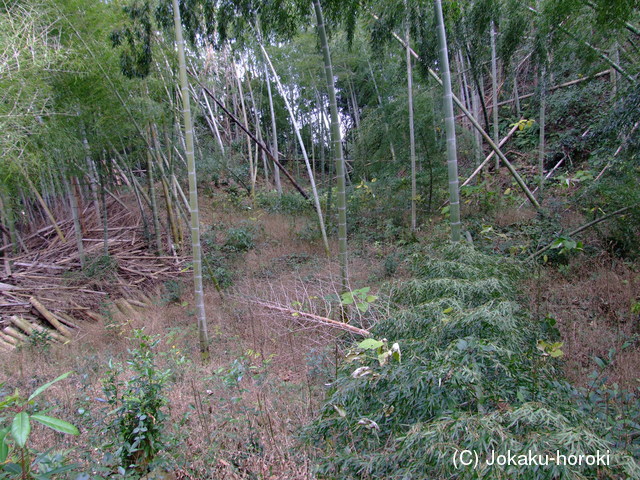 大隅 御幣園城の写真