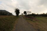 大隅 萩崎城の写真