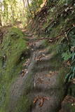大隅 姫木城の写真