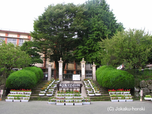 大隅 平松城(姶良市)の写真