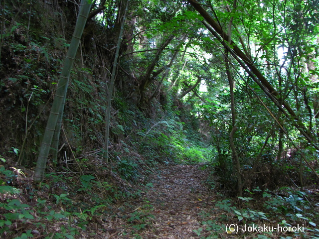 大隅 加治木城の写真