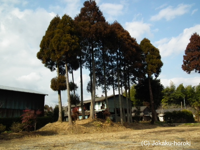 大隅 栫井城の写真