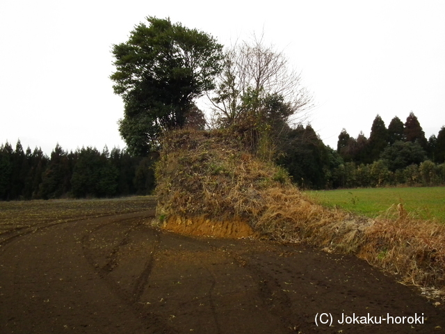 大隅 上栫城の写真