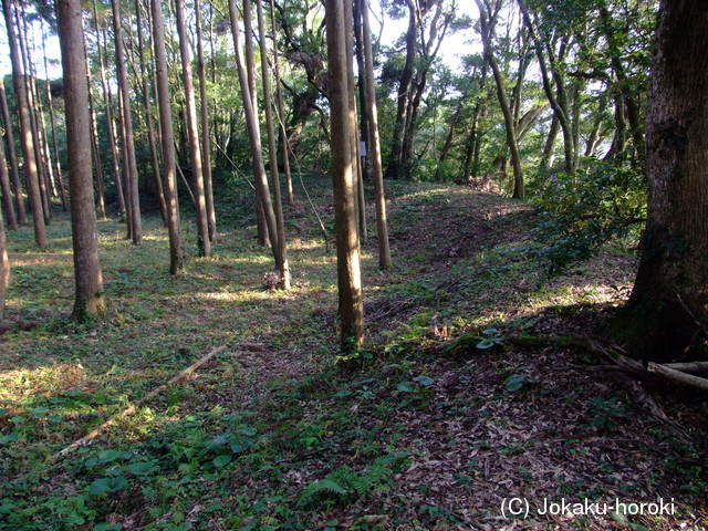 大隅 高山城の写真