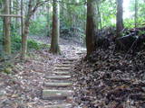 大隅 高山城の写真