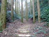 大隅 高山城の写真